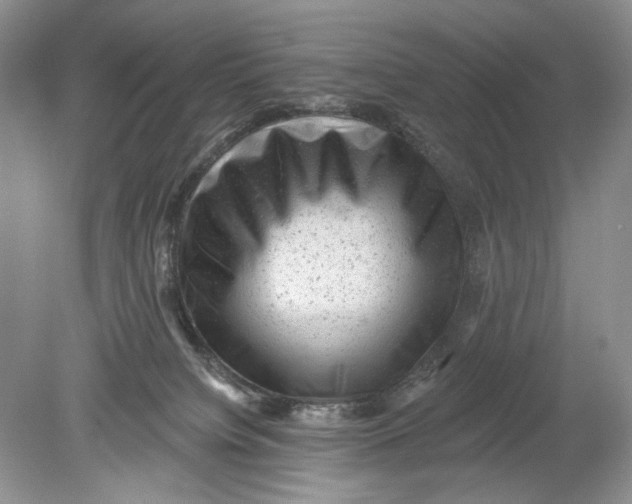 X0000078870084200612042009