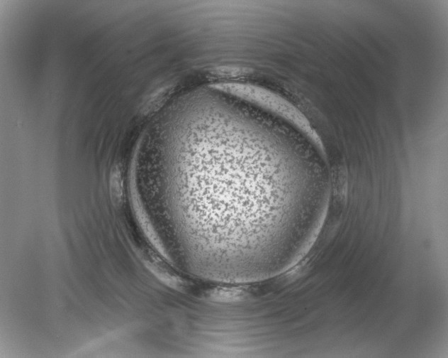 X0000078870086200612042009