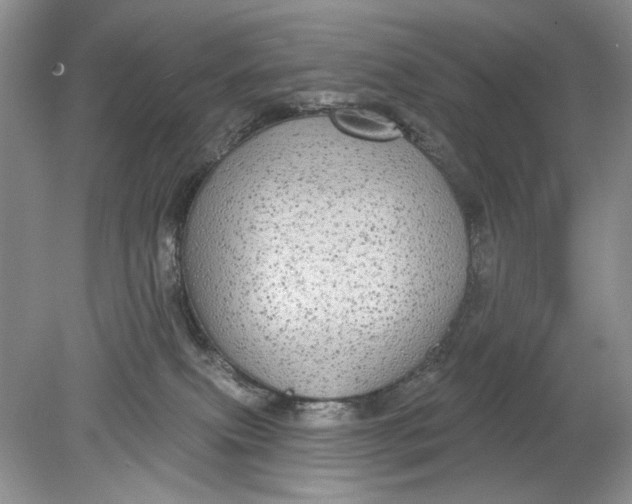 X0000078870087200612042009