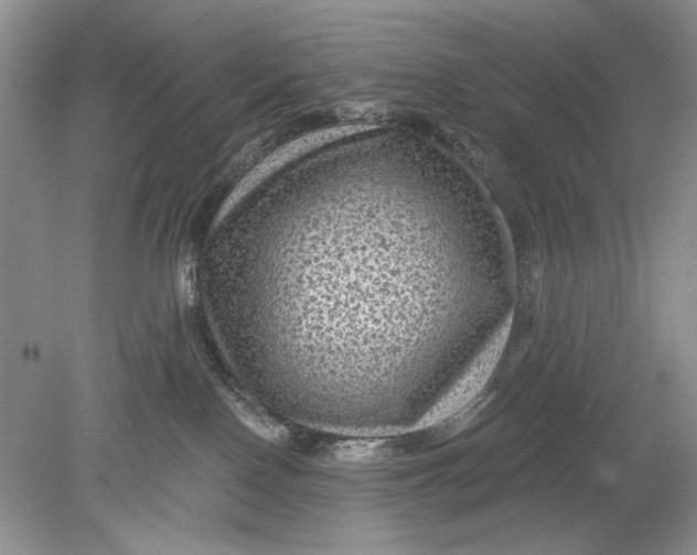 X0000078870090200612042009