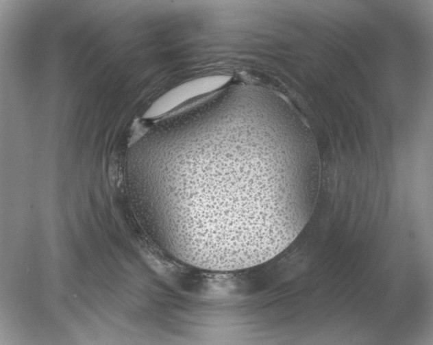 X0000078870091200612042009