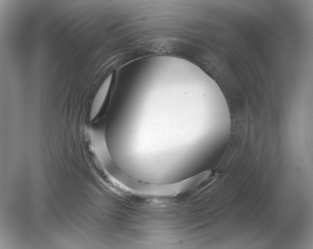 X0000078870092200612042009