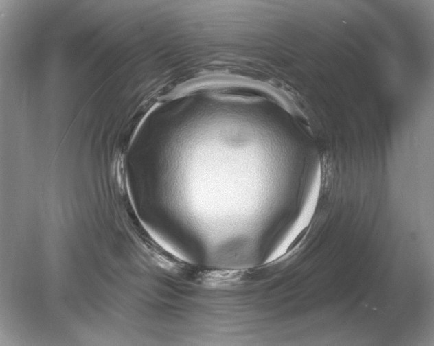 X0000078870094200612042009