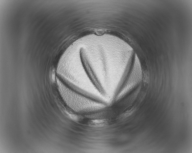 X0000078870095200612042009