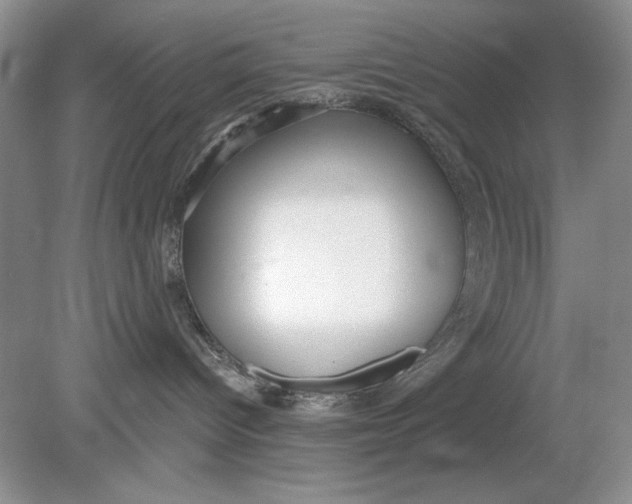 X0000078870096200612042009