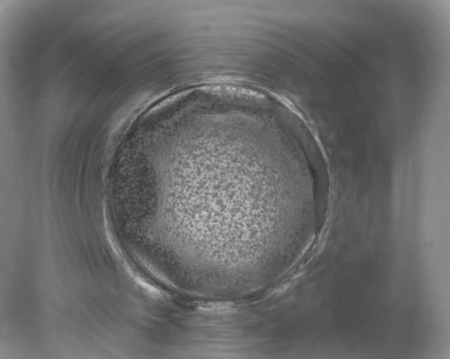 X0000078870097200612042008