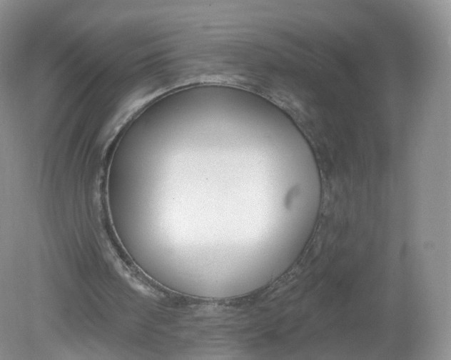 X0000078870098200612042008