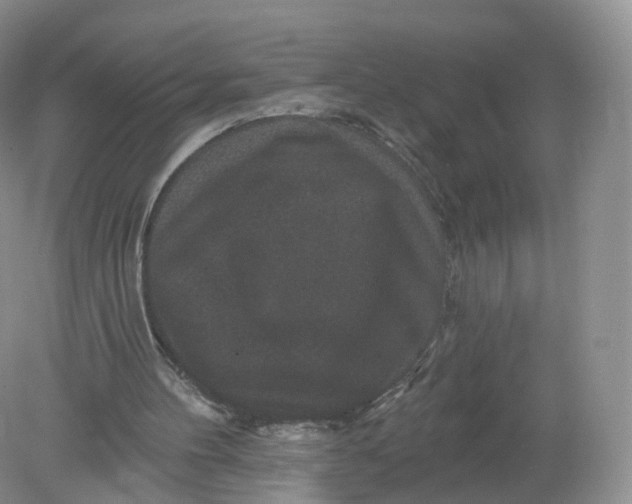 X0000078870100200612042008