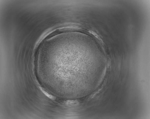 X0000078870101200612042008