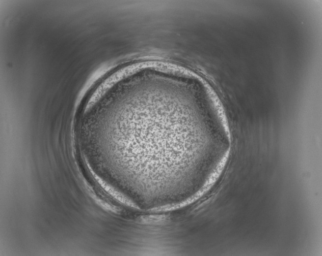 X0000078870102200612042008