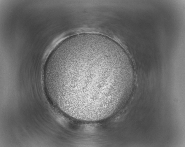 X0000078870103200612042008