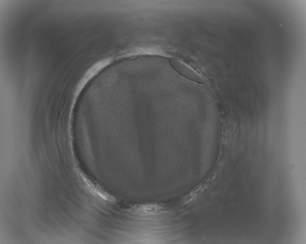 X0000078870104200612042008