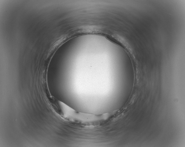 X0000078870105200612042008