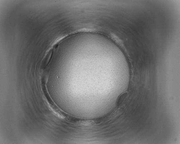 X0000078870106200612042008