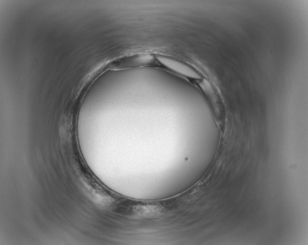 X0000078870107200612042008