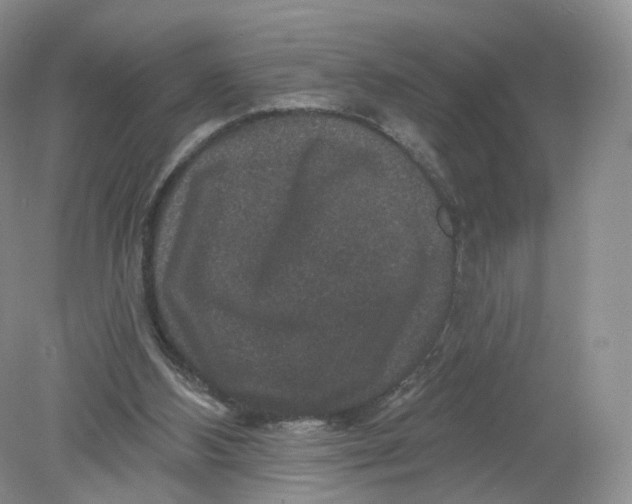 X0000078870108200612042008