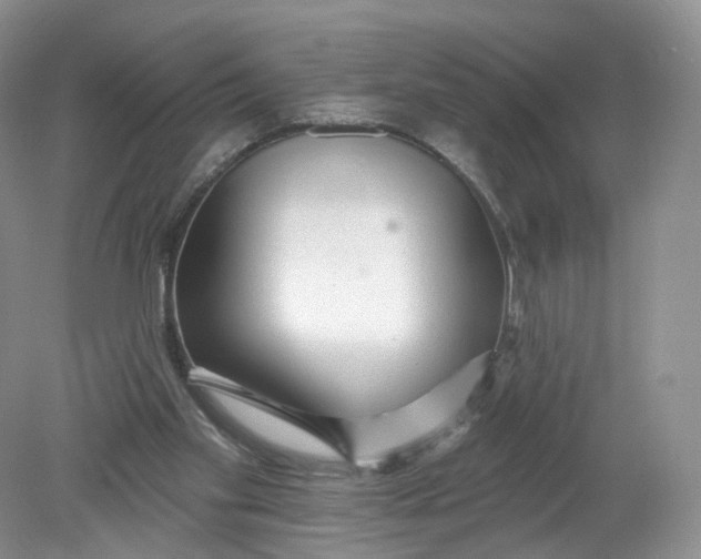 X0000078870109200612042008