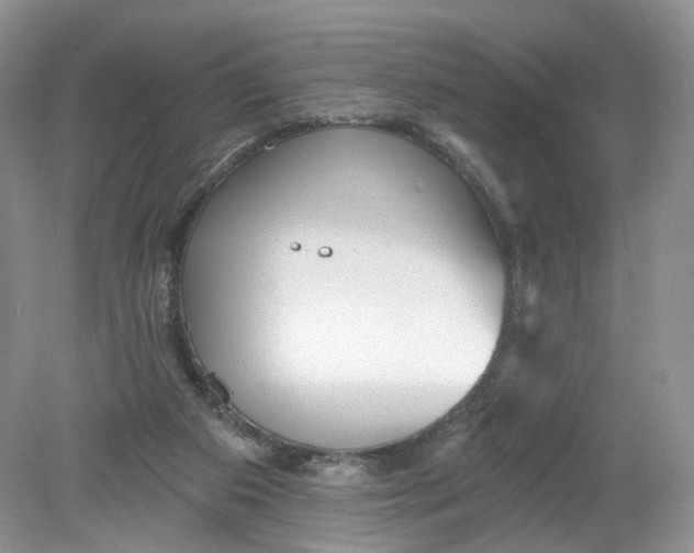 X0000078870113200612042008