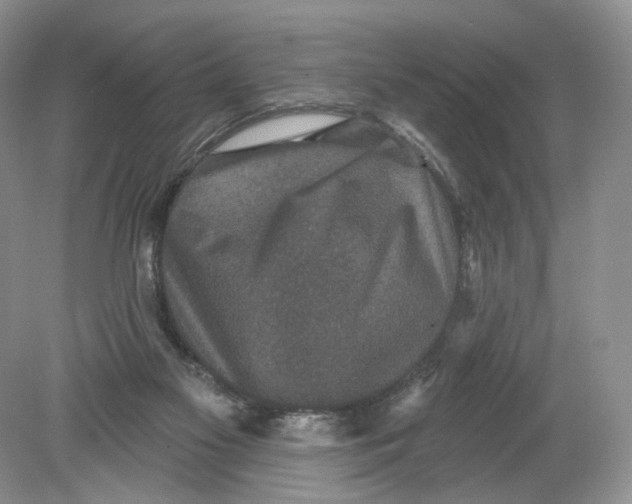 X0000078870117200612042008