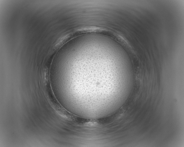 X0000078870119200612042008