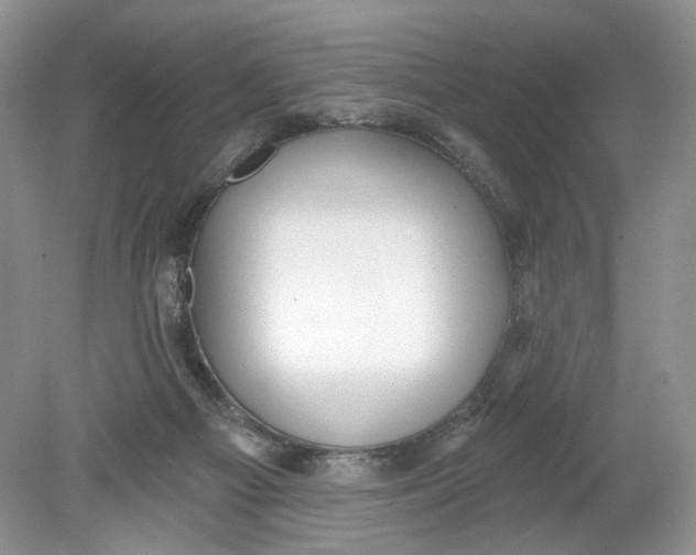 X0000078870121200612042008