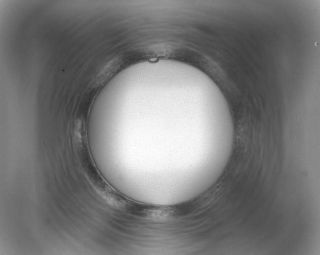 X0000078870122200612042008