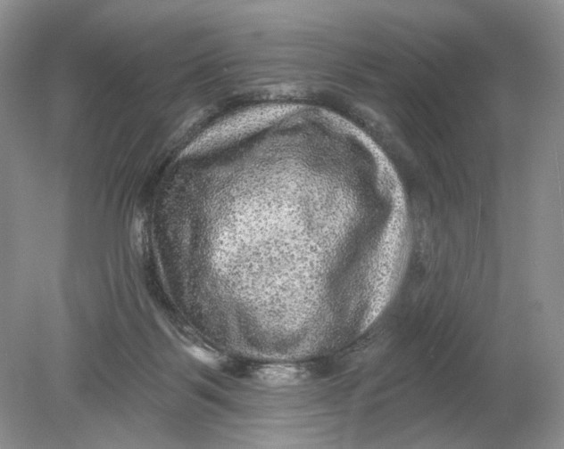 X0000078870123200612042008