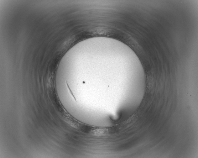 X0000078870126200612042008