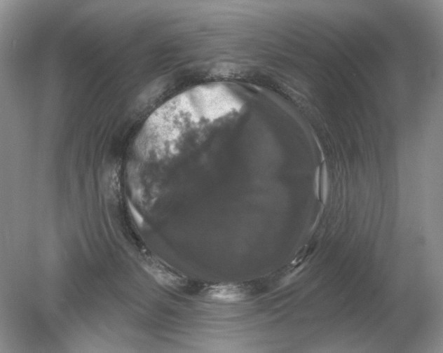 X0000078870127200612042008