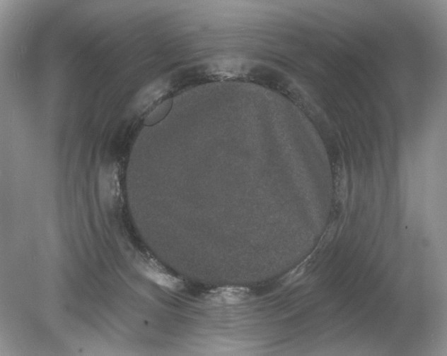 X0000078870128200612042008