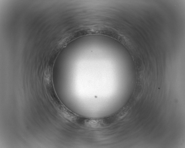 X0000078870129200612042008