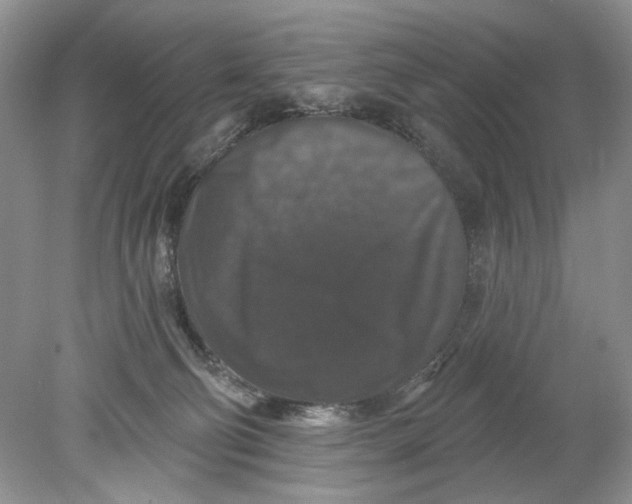 X0000078870130200612042008