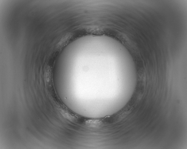 X0000078870133200612042008