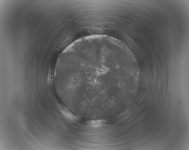 X0000078870134200612042008