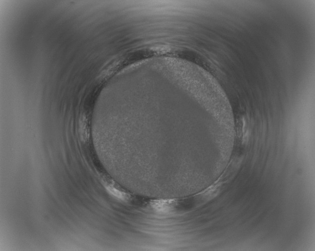 X0000078870136200612042008