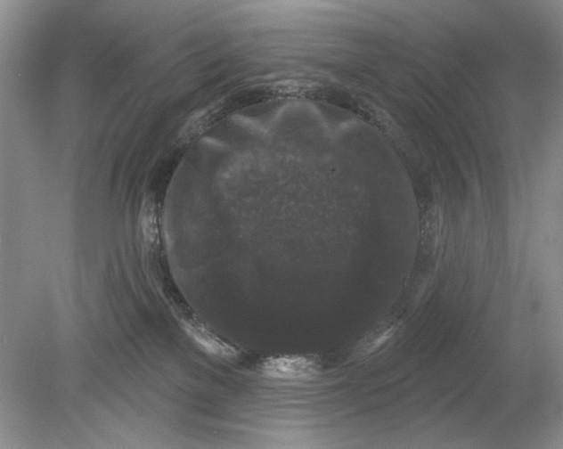 X0000078870137200612042008