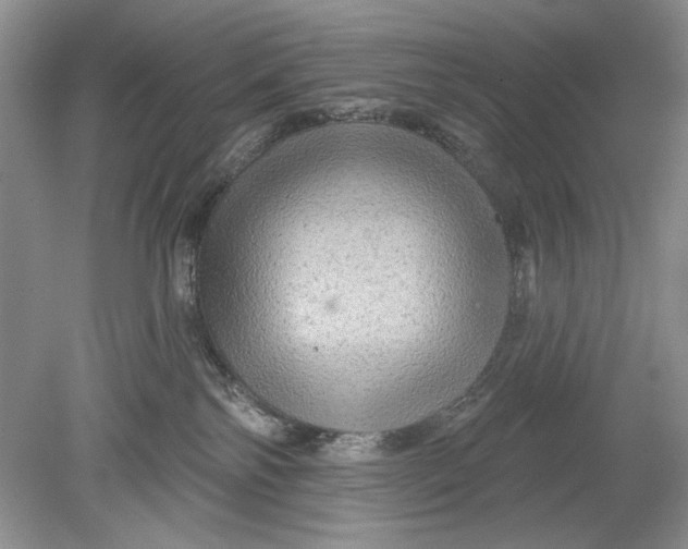 X0000078870138200612042008