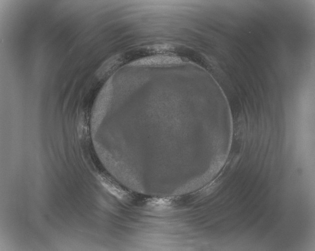 X0000078870140200612042008