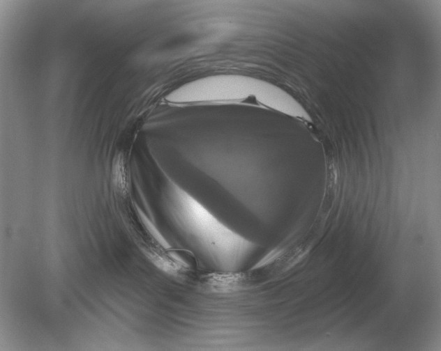 X0000078870143200612042008