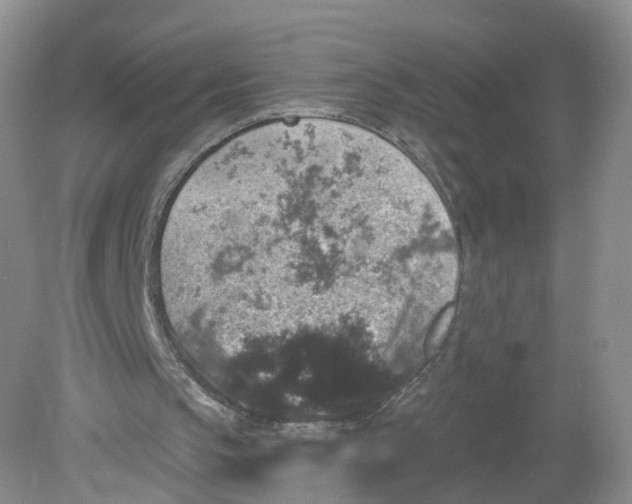 X0000078870145200612042007