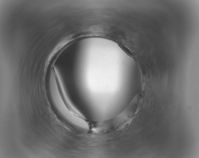 X0000078870150200612042007