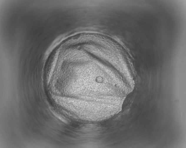 X0000078870151200612042007