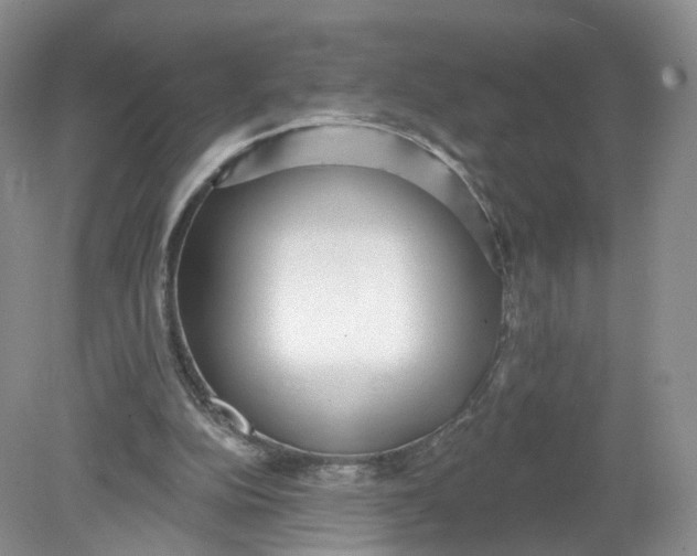 X0000078870152200612042007