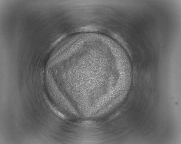 X0000078870153200612042007