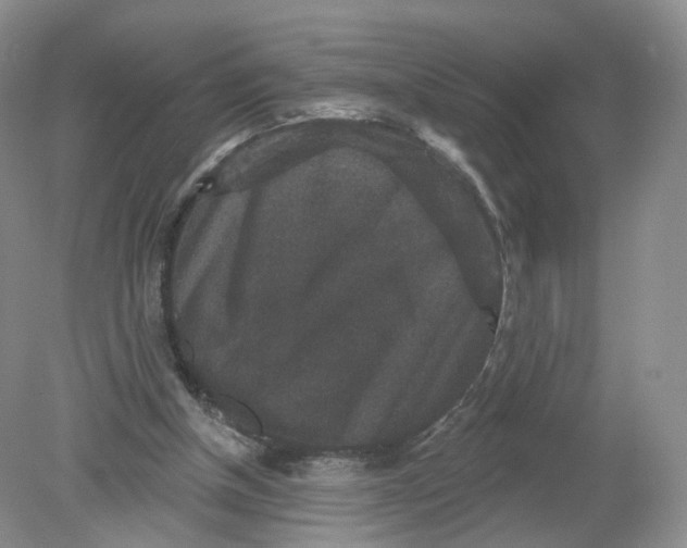 X0000078870154200612042007