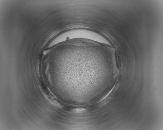 X0000078870158200612042007