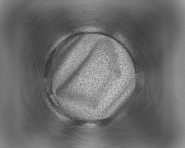 X0000078870159200612042007