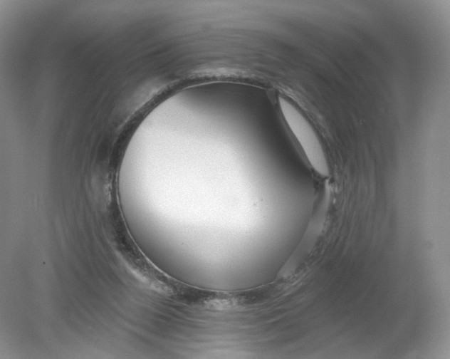 X0000078870160200612042007