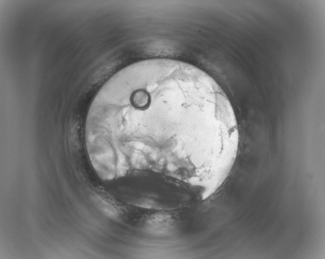 X0000078870162200612042007