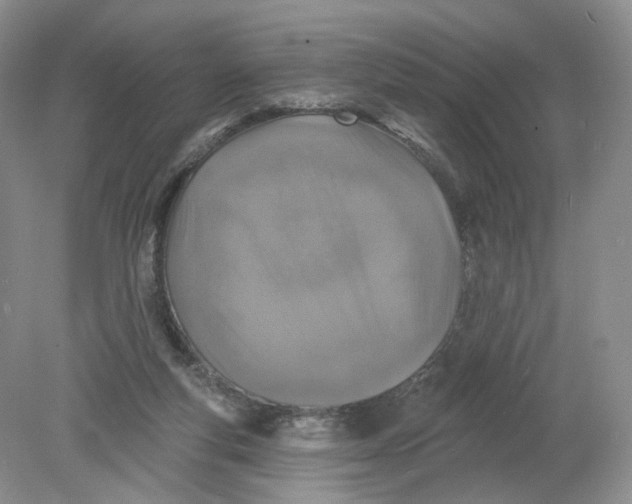 X0000078870163200612042007